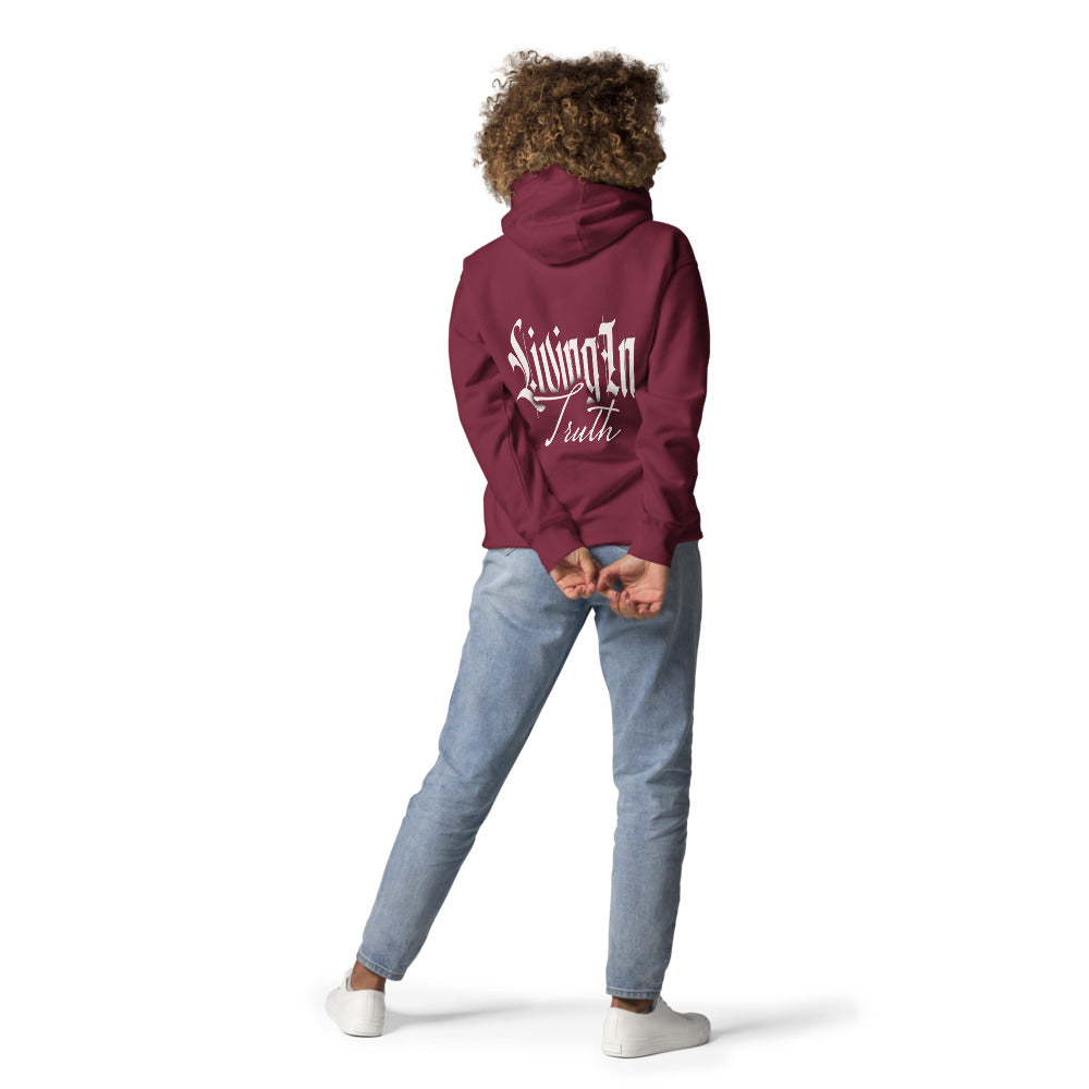 LIT Hoodie - Back View - Maroon